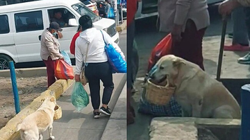 Reprodução / TikTok