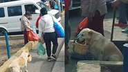 Reprodução / TikTok