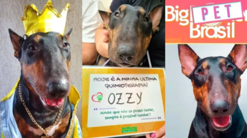 Reprodução / Redes Sociais