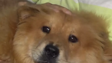 Reprodução / Redes Sociais