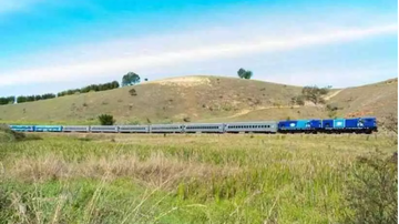 Divulgação / Oscip