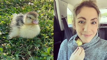 Reprodução / Instagram