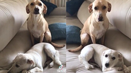 Reprodução / TikTok