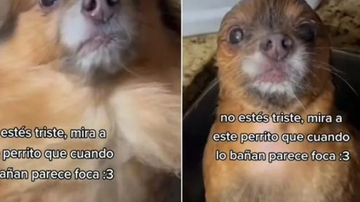 Reprodução / TikToker