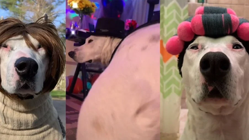 Reprodução / TikToker