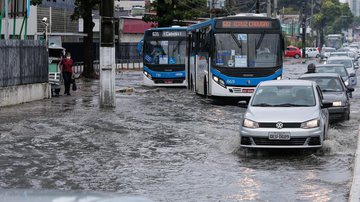 Alexandre Aroeira/Folha de Pernambuco