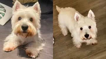 Reprodução/TikTok @medeiros.mari