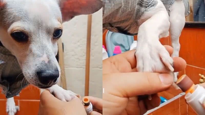 Reprodução/TikTok @dulcedetalle12