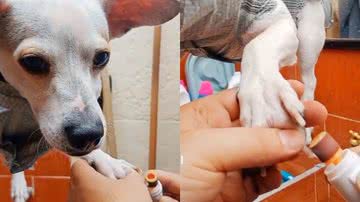 Reprodução/TikTok @dulcedetalle12