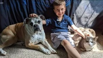 Imagem Criança arrecada mais de R$ 9 mil para ajudar abrigo de animais; saiba como