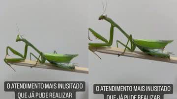 Reprodução / Instagram