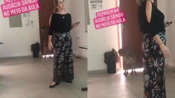 Reprodução / Instagram