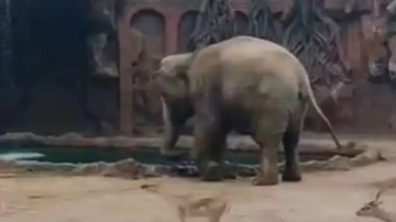 Reprodução/Redes Sociais