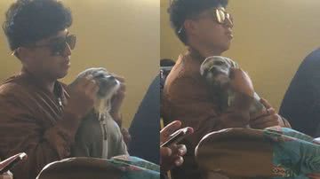 Reprodução/TikTok @pineappleanne_