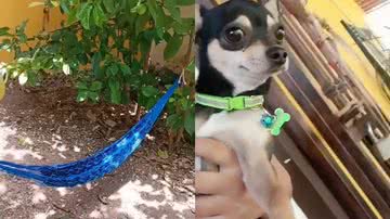 Reprodução/TikTok @mariajc_salazar