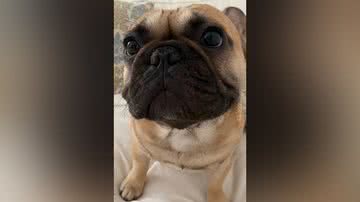 Reprodução/TikTok @livianaragao