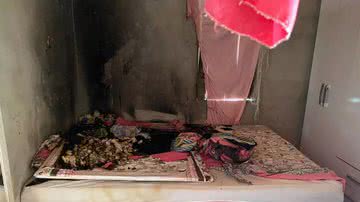 Reprodução Leitor BNews