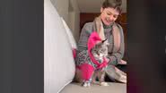 Imagem Gata fica “dura” após usar roupa de frio; veja vídeo e entenda