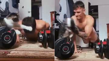 Reprodução/Youtube @ViralHog