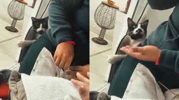 Reprodução/TikTok @brunnasouza9787