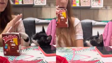 Reprodução/TikTok @alessandrasarmen18