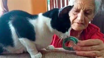 Reprodução/TikTok @elizabeth_garvez