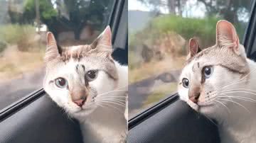 Reprodução/Instagram @suzianesilvaa