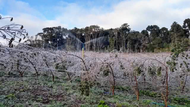 Epagri/SC