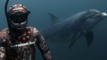 Imagem Golfinho selvagem faz amizade com mergulhador e tem atitude surpreendente; assista
