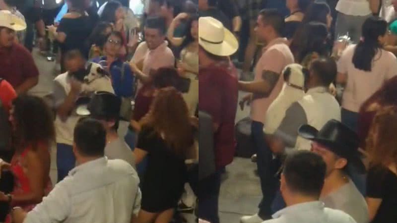 El hombre elige el doguinho para bailar en una fiesta y sacude la pista de baile;  ver un video