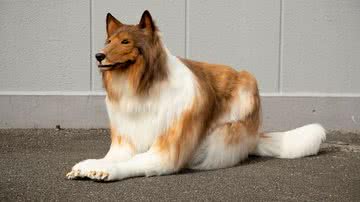 Reprodução/Twitter @zeppetJP