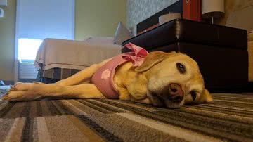 Divulgação/Home2 Suites by Hilton Biloxi North/D'Iberville