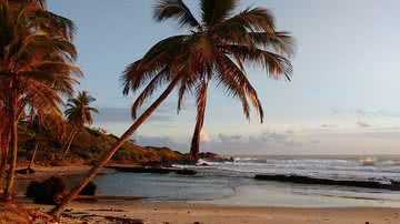 Divulgação / Carlos Moreno - Pixabay