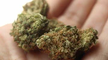 Divulgação // SPDM.ORG