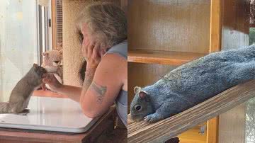 Reprodução/Instagram @bunk_a_boo