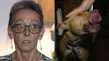 Reprodução/TikTok/Fox 29