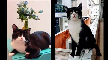 Antônio Cassimiro/PG No Grau