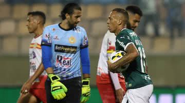 Cesar Greco/Palmeiras