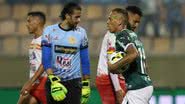 Cesar Greco/Palmeiras