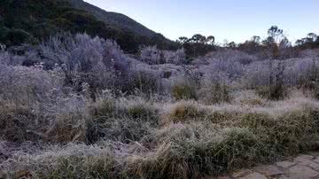 Divulgação/Parque Nacional do Itatiaia