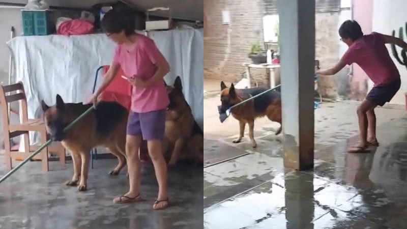 Reprodução/TikTok @dan_iwa