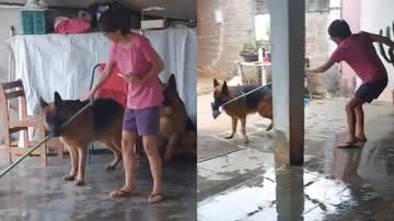 Reprodução/TikTok @dan_iwa