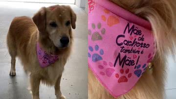 Reprodução/TikTok @joabcr