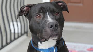 Arquivo Pessoal/Ashley Tzioumis