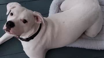 Reprodução/Instagram @ghost_payton