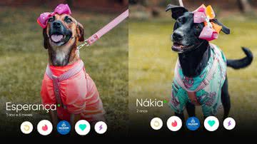 Reprodução/Instagram @prefsalvador