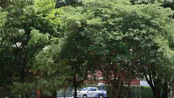 Rovena Rosa/Agência Brasil