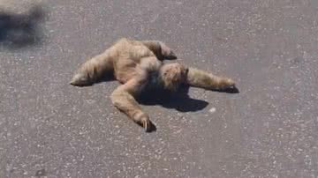 Reprodução/Instagram @joaosol