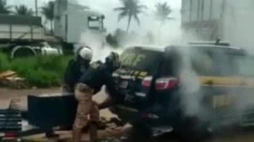 Reprodu&ccedil;&atilde;o