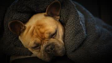 Foto Ilustrativa/Pixabay